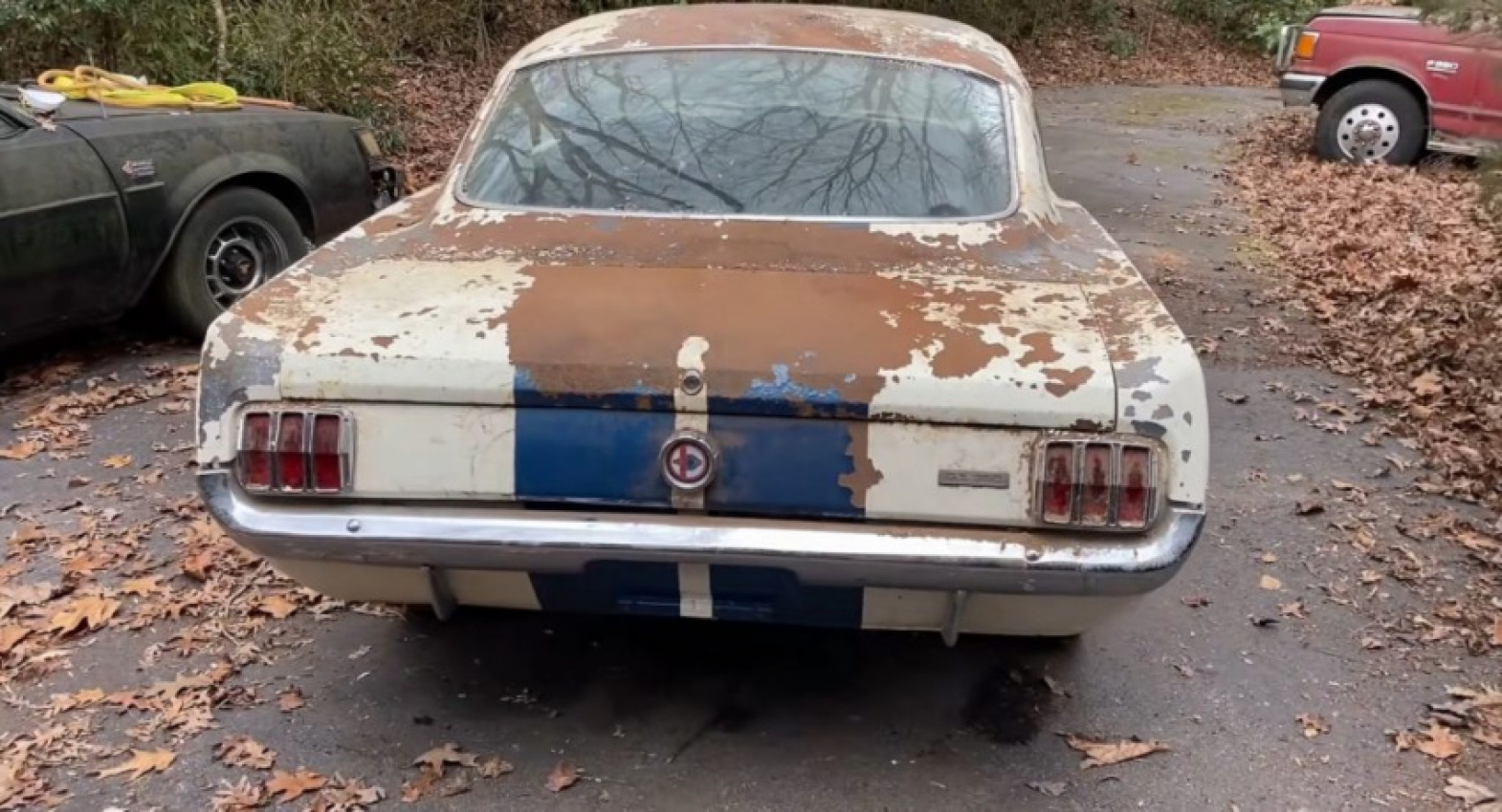 autos, cars, shelby, gold barn find – 1965 shelby mustang gt350 stored for decades in abandoned house