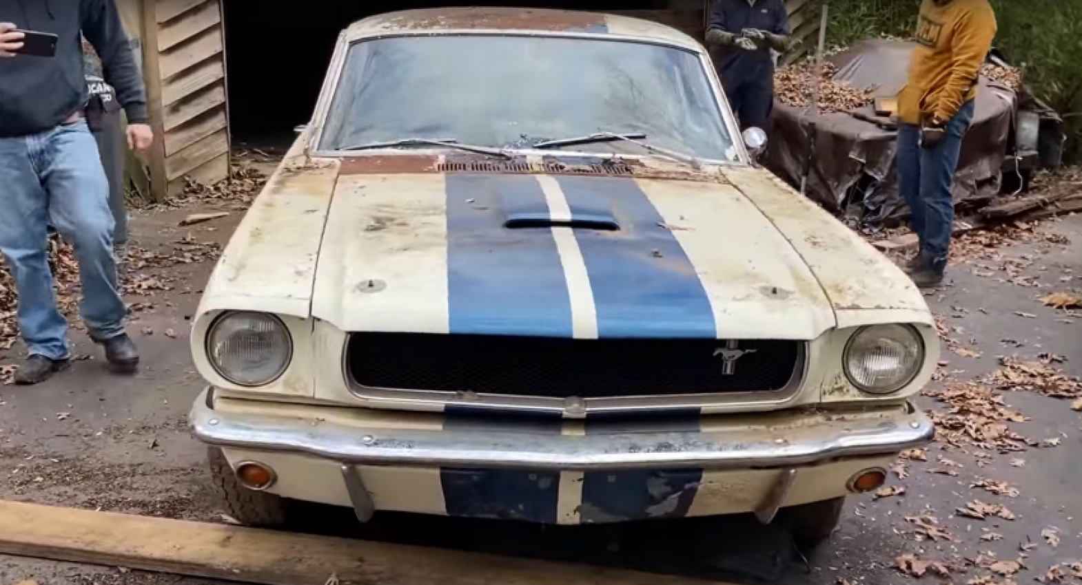 autos, cars, ford, news, shelby, barn finds, classics, ford mustang, ford videos, video, historic 1965 ford mustang shelby gt350 was hiding in an abandoned house for decades