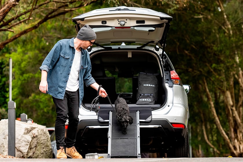 autos, cars, nissan, offbeat, technology, nissan's newest accessory appeals to man's best friend