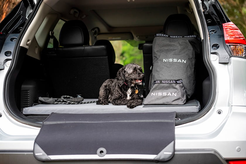 autos, cars, nissan, offbeat, technology, nissan's newest accessory appeals to man's best friend