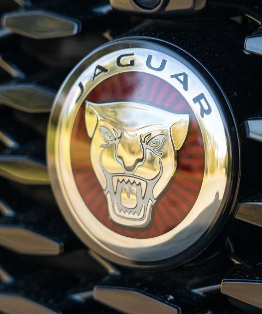 autos, jaguar, news, jaguar: no new cats due until ev switchover in 2025 – report