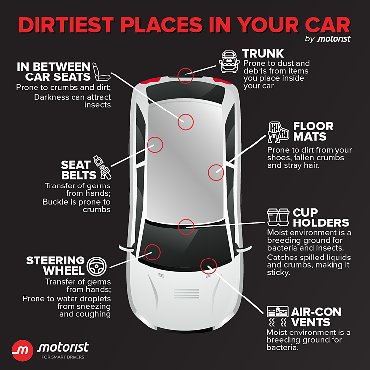 advice, autos, cars, these are the 7 dirtiest places in your car