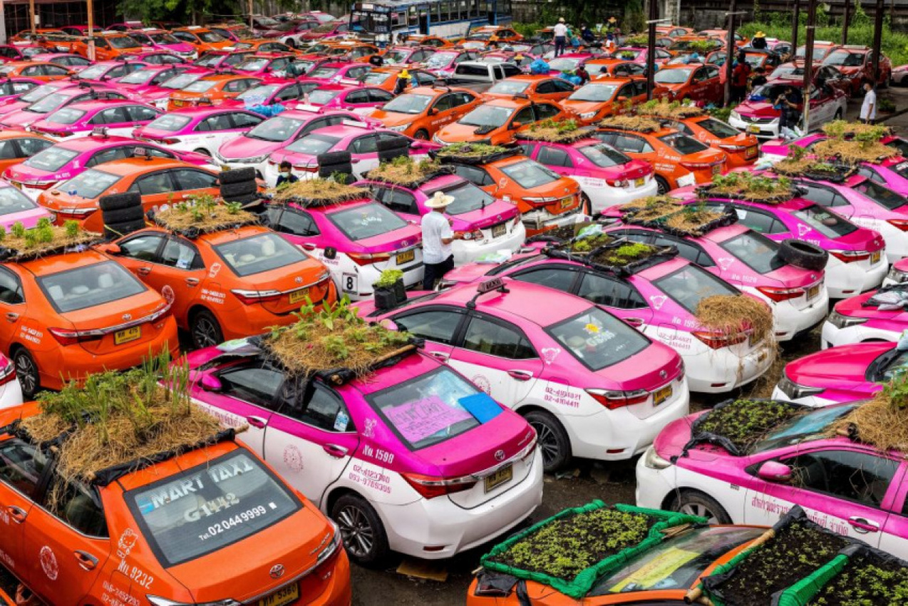 autos, cars, mini, autos news, bangkok 'taxi graveyard' comes to life with mini-gardens