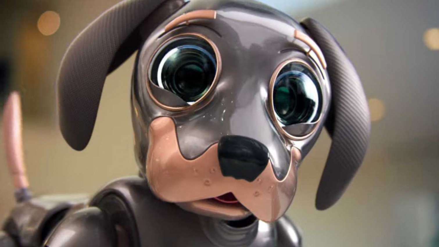 autos, cars, kia, kia super bowl teasers pull our heartstrings with wide-eyed robo dog