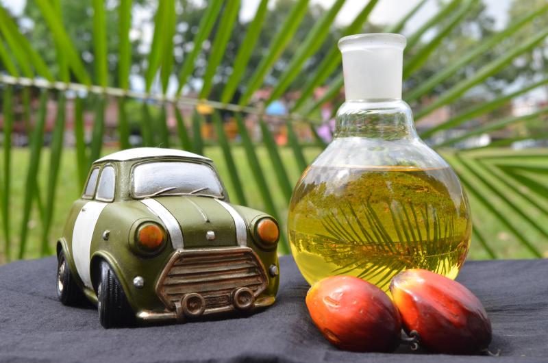 autos, cars, mini, autos news, ministry meeting car makers to discuss concerns on b10 biodiesel