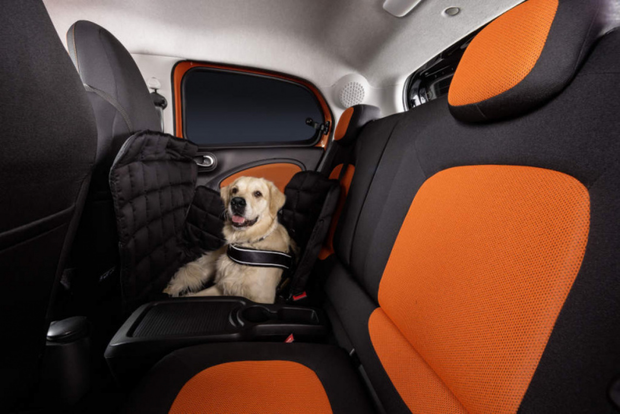 autos, cars, smart, forfour, smart for dogs