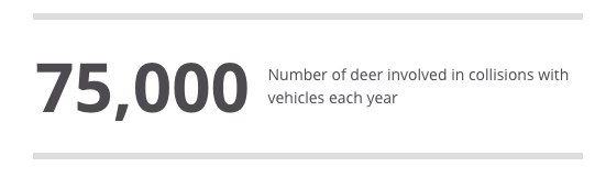 autos, cars, car news, highway code, ‘don’t veer for deer’ says road safety organisation