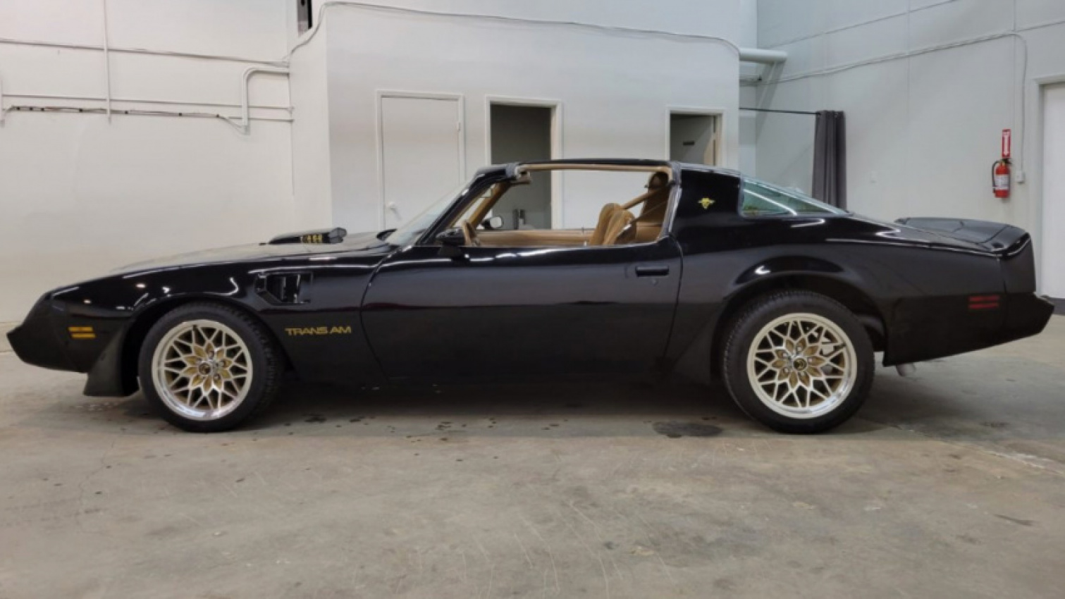autos, cars, pontiac, american, asian, celebrity, classic, client, europe, exotic, features, handpicked, luxury, modern classic, muscle, news, newsletter, off-road, sports, trucks, tuner, 1979 pontiac firebird trans am smokey and the bandit special edition