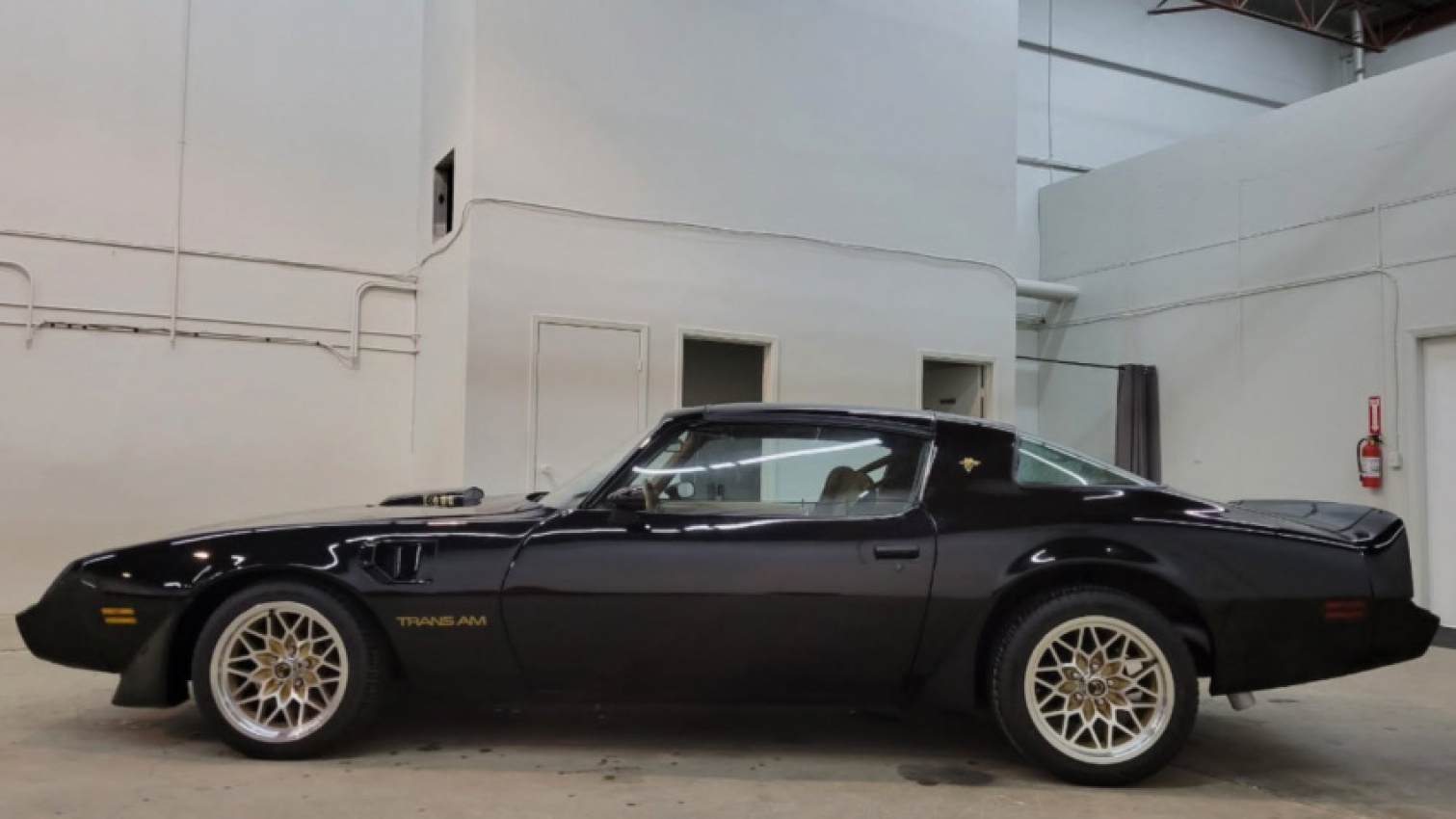 autos, cars, pontiac, american, asian, celebrity, classic, client, europe, exotic, features, handpicked, luxury, modern classic, muscle, news, newsletter, off-road, sports, trucks, tuner, 1979 pontiac firebird trans am smokey and the bandit special edition