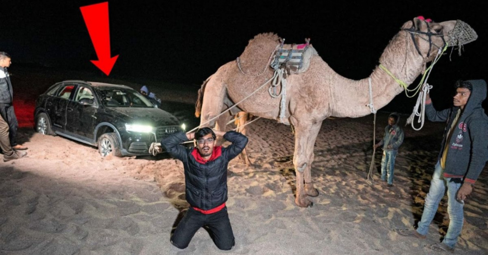 audi, autos, cars, audi q5, audi q5 awd gets stuck on a beach; rescued by camels 