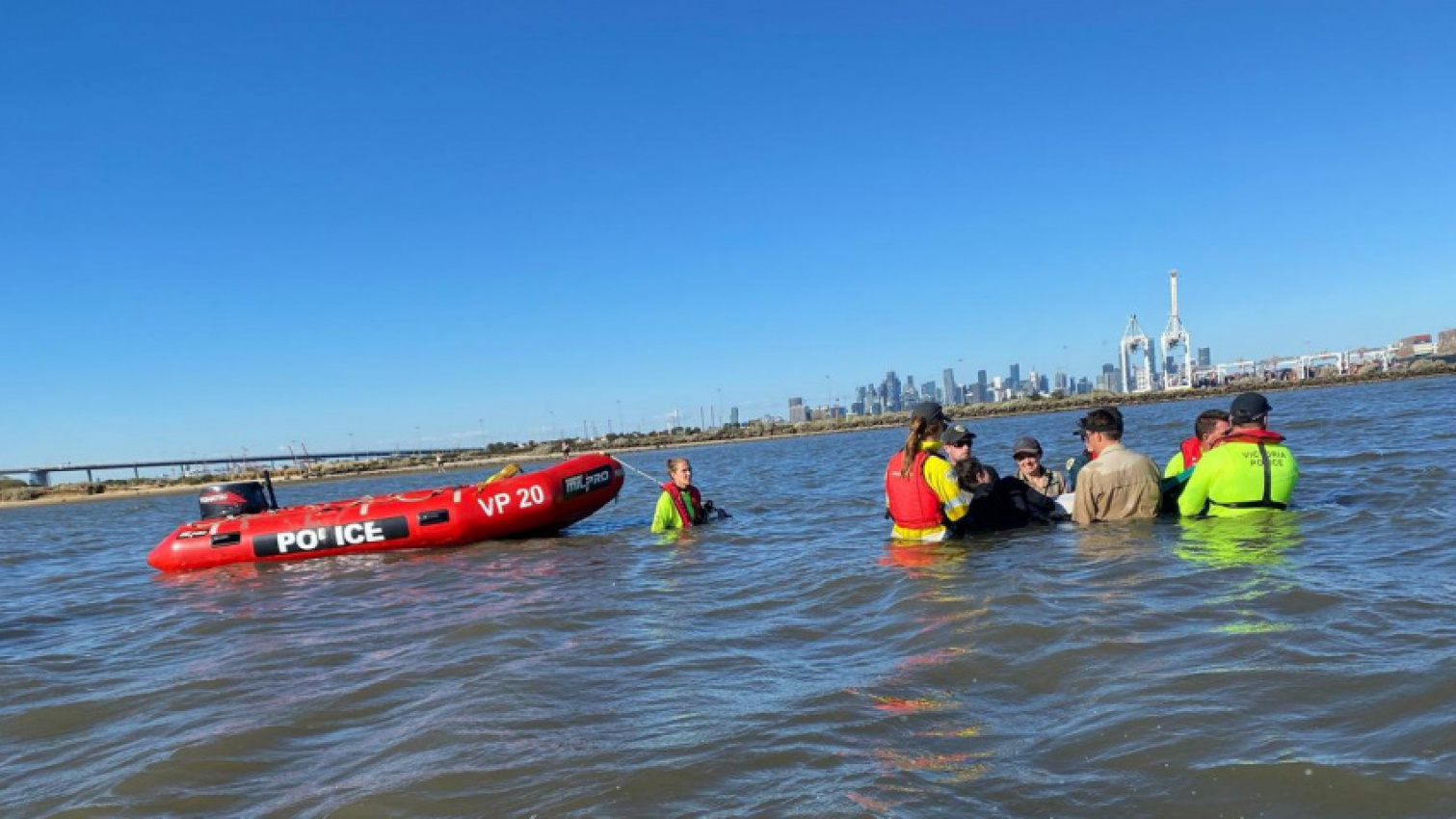 autos, cars, news, ram, animals, science, technology, inside beached dolphin’s dramatic rescue in port phillip bay