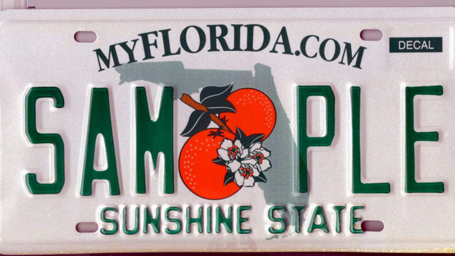 autos, cars, news, offbeat news, reports, some very offensive vanity plates were rejected in florida last year