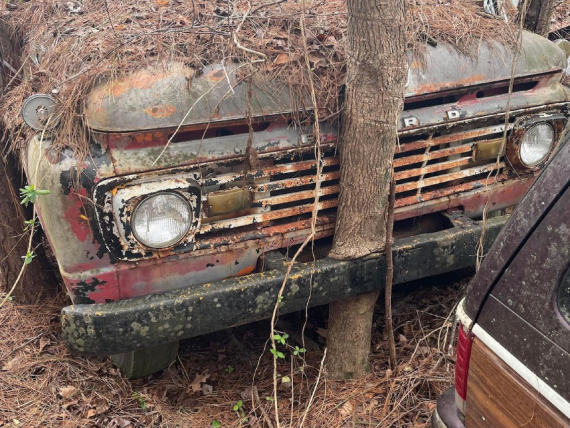 amc, autos, cars, america's last amc dealer is literally cutting cars out of trees