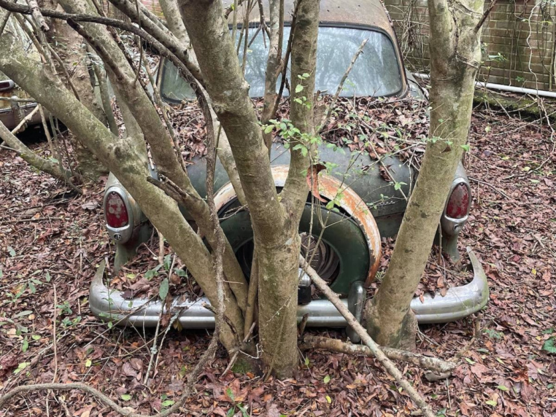 amc, autos, cars, america's last amc dealer is literally cutting cars out of trees