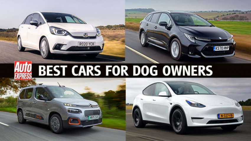 autos, best cars, cars, family hatchbacks, top 10 best cars for dog owners to buy 2022
