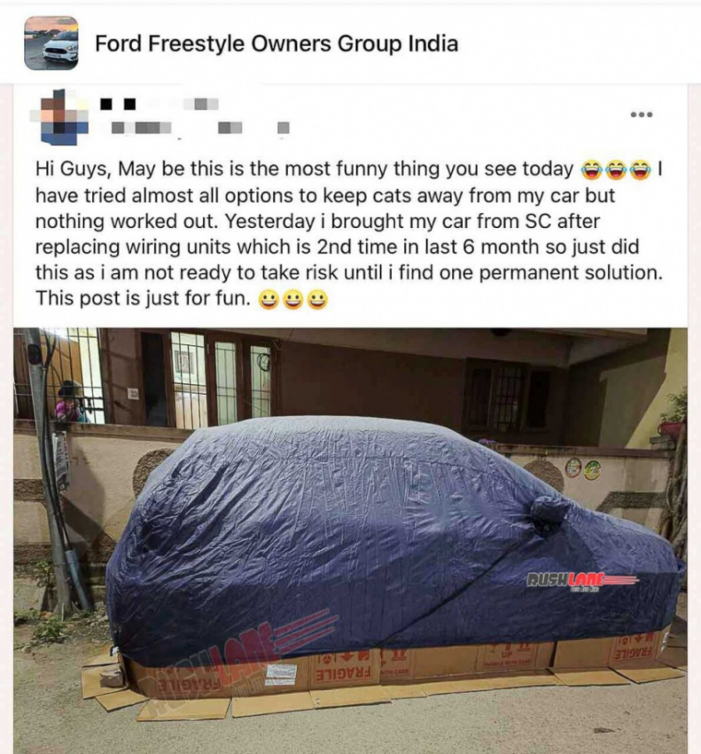 cars, ford, reviews, ford freestyle owner creates unique solution to restrict cats from entering car