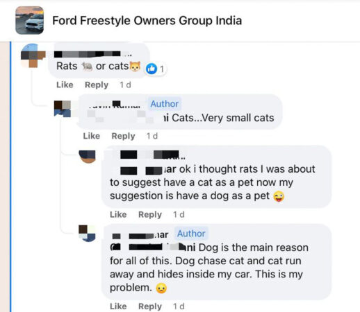cars, ford, reviews, ford freestyle owner creates unique solution to restrict cats from entering car