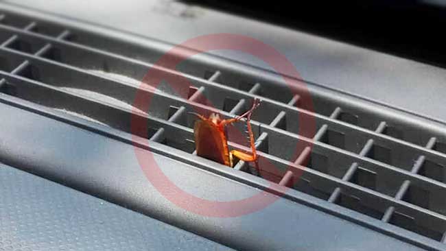 autos, cars, how to, reviews, how to, how to get roaches out of car (useful tips)