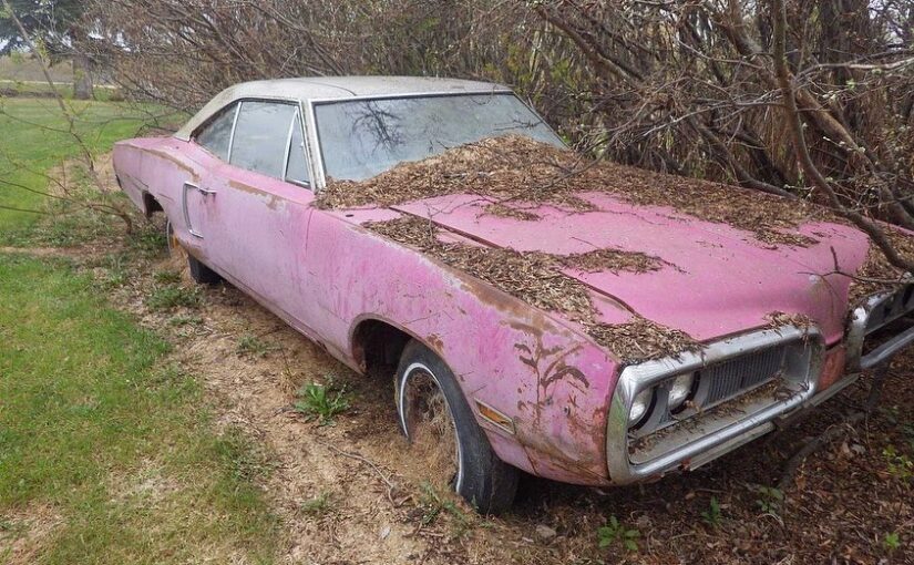 autos, cars, dodge, panther pink (1970) dodge coronet was left to rot in the woods – gets second chance…