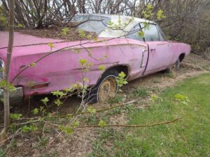 autos, cars, dodge, panther pink (1970) dodge coronet was left to rot in the woods – gets second chance…