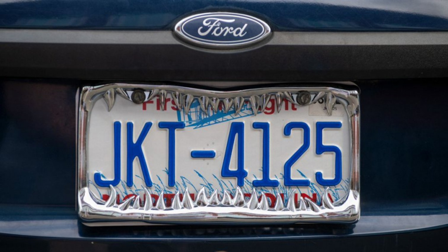 autos, cars, ram, reviews, amazon, best license plate frames (2022)