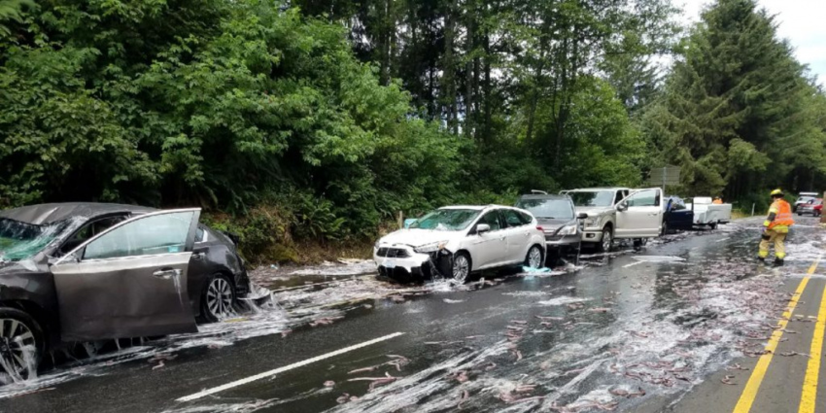 autos, cars, road, trucks, truck carrying ‘slime eels’ crashes, incapacitating cars after bizarre accident