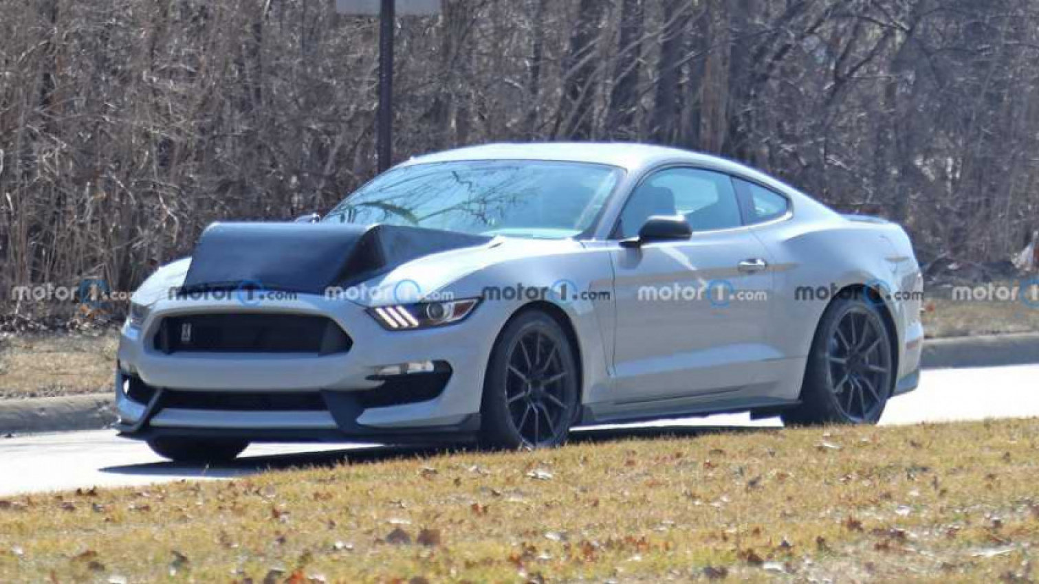 autos, cars, ford, shelby, ford mustang, ford mustang shelby gt350 test mule spied with biggest hood bulge ever