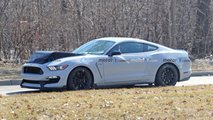 autos, cars, ford, shelby, ford mustang, ford mustang shelby gt350 test mule spied with biggest hood bulge ever