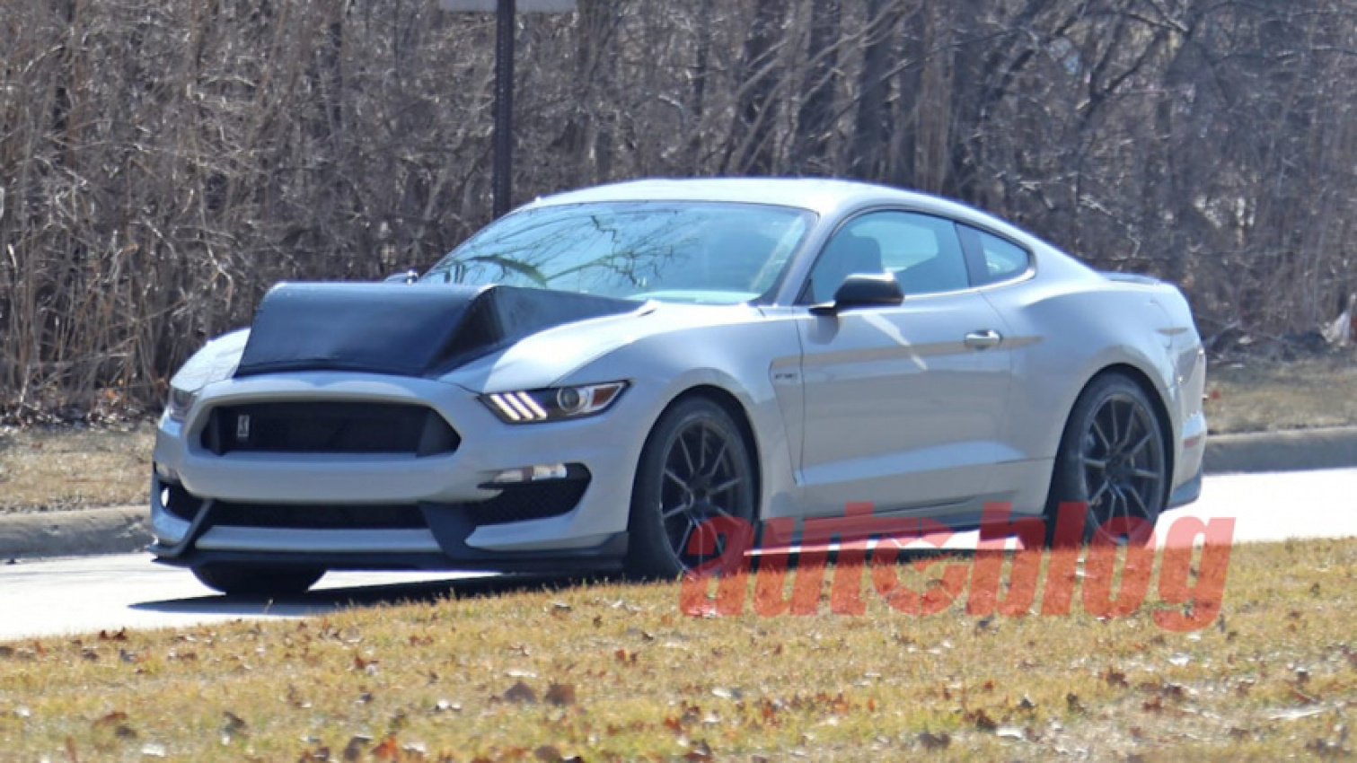 autos, cars, ford, rumormill, shelby, ford mustang, future vehicles, performance, spy-photos, what the hell is this ford mustang shelby gt350 mule?