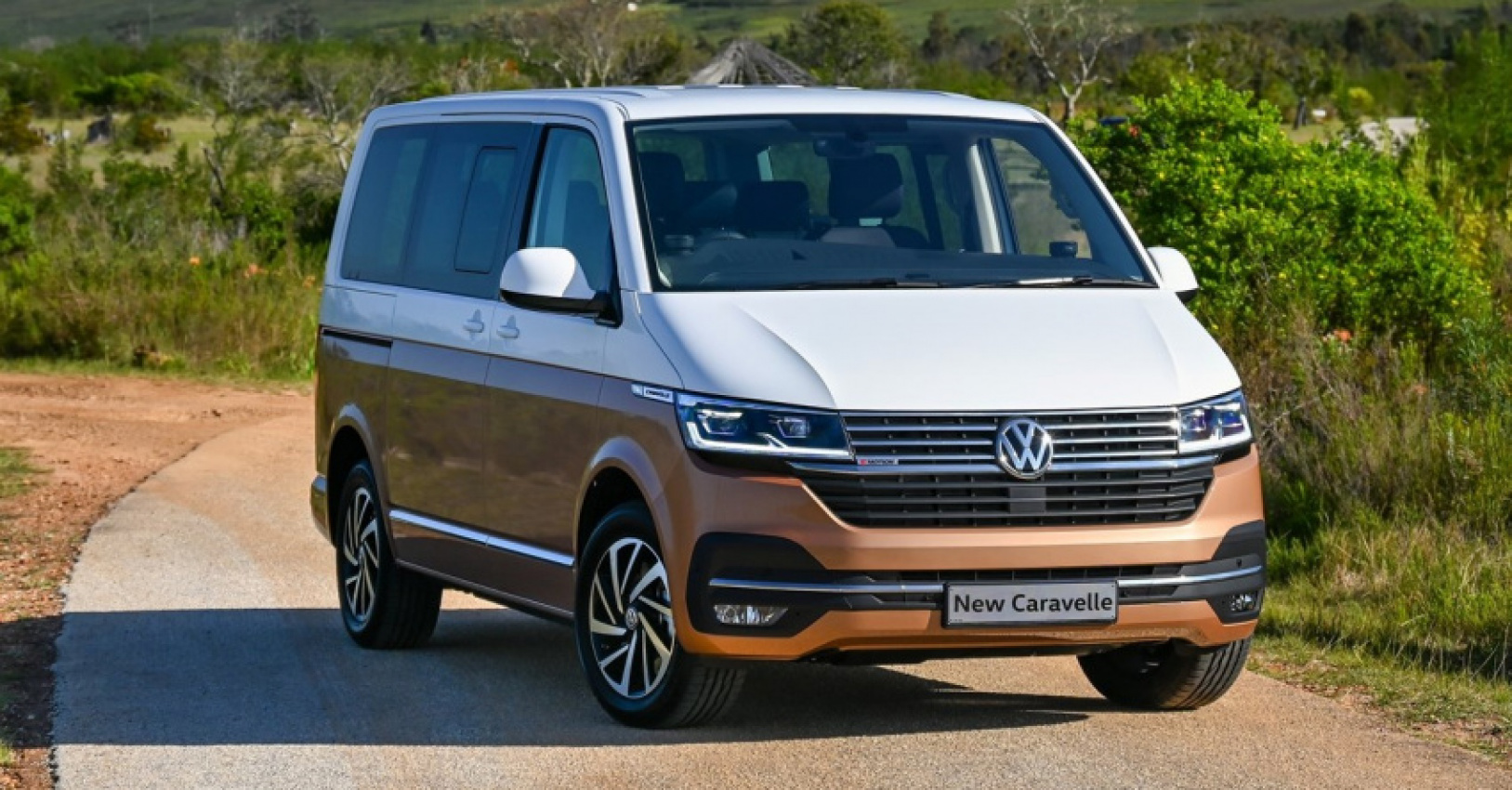 autos, cars, features, vw golf 8 gti, vw polo, the most popular vw cars in south africa
