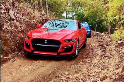 article, autos, cars, hypercar, supercar, watch a bunch of multi-crore supercars taking on a forest trail