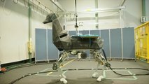 autos, cars, kawasaki, kawasaki introduces robot goat at 2022 international robot exhibition