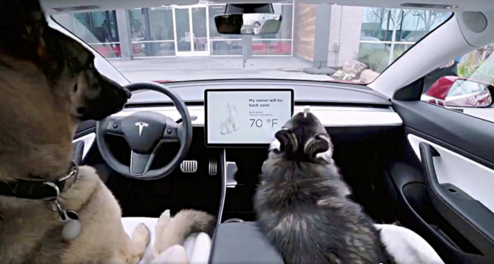autos, cars, elon musk, news, smart, tesla, tesla adds ‘dog mode’ and ‘camp mode’ activation from smartphone app in new update