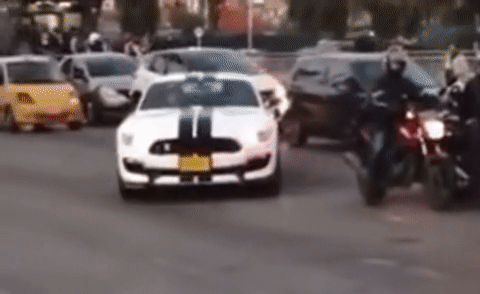 autos, cars, ford, news, accidents, ford mustang, ford videos, offbeat news, video, a ford mustang saw a bus full of people and couldn’t help itself