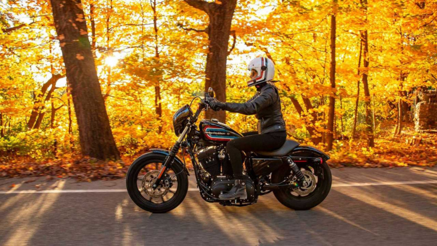 autos, cars, harley-davidson, harley, recall: some 2021-2022 harley sportsters may have faulty brake fluid decal