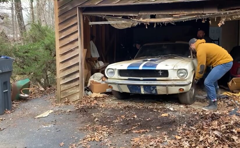 american classic, cars, classic cars, shelby, classic cars, vnex, barn find gold – (1965) shelby mustang gt350 stored for decades in abándoned house… (video)
