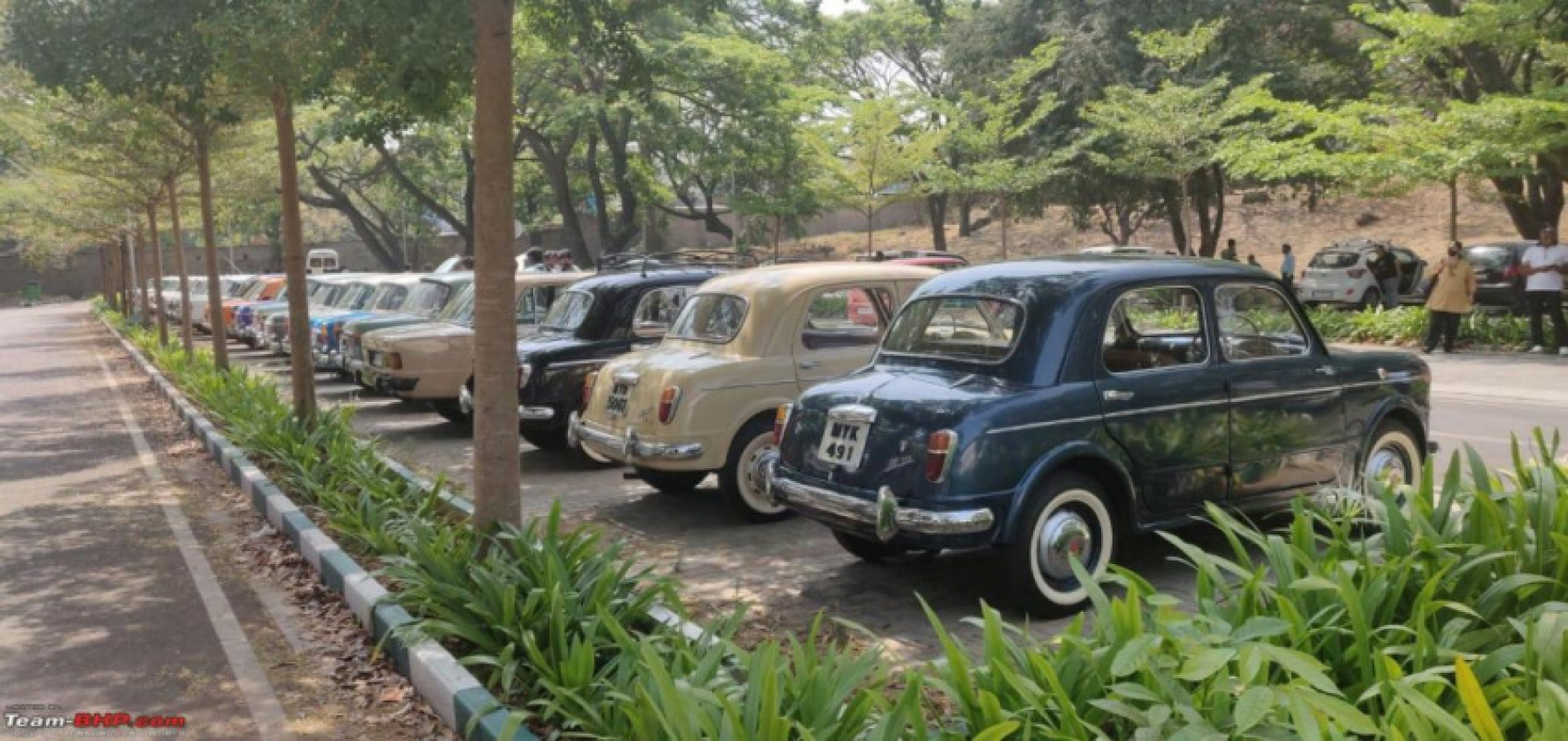 autos, cars, fiat, classic cars, indian, member content, premier padmini, vintage cars, in pictures: fiat 1100 club bangalore 13th anniversary meet