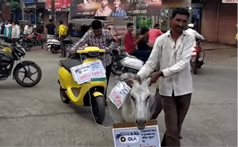 autos, cars, auto news, carandbike, news, ola electric, ola electric s1 pro, ola s1, ola s1 owner gets electric scooter towed by a donkey after company ignores complaints