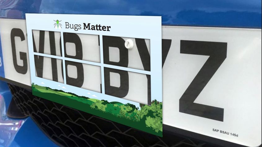 autos, cars, consumer news, bugs away! number plate spatter-count reveals shocking insect decline