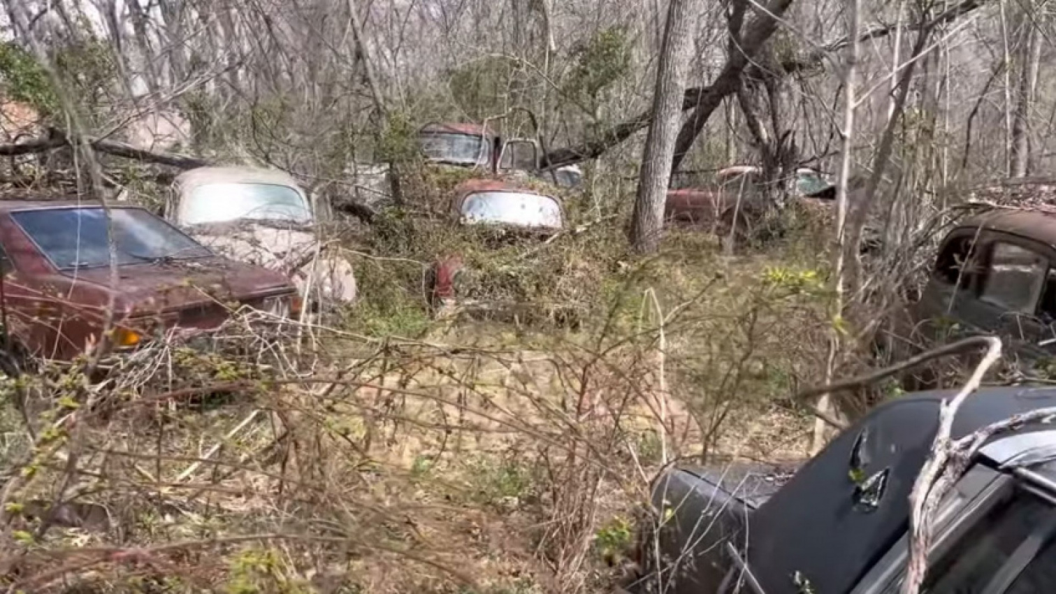 autos, cars, american, asian, celebrity, classic, client, europe, exotic, features, handpicked, luxury, modern classic, muscle, news, newsletter, off-road, sports, trucks, secret classic car graveyard hidden in the woods