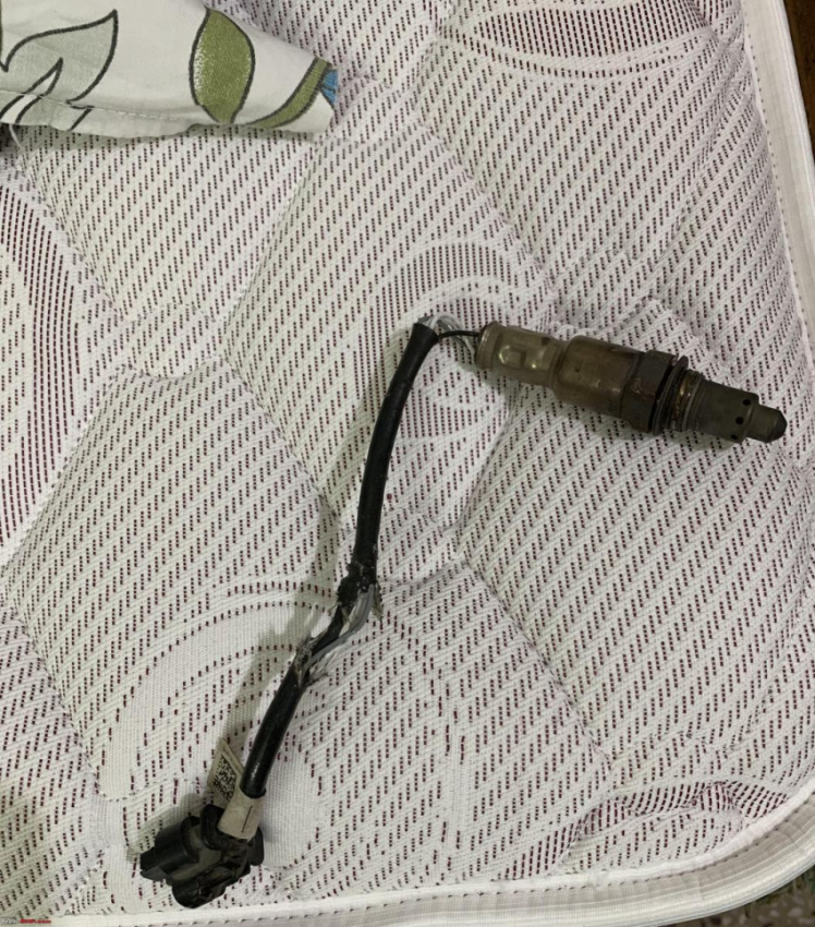 autos, cars, ford, ford ecosport, indian, member content, vnex, rats chewed the o2 sensor wire of my ford ecosport