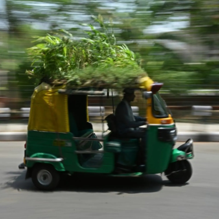 autos, cars, vnex, auto driver grows garden on auto-rickshaw's roof to beat the heat 