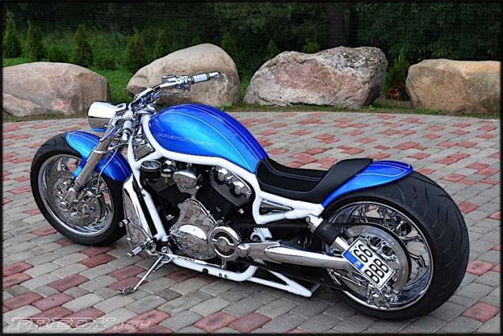 2003 harley-davidson v-rod “hot wheels” is a real toy for the real world