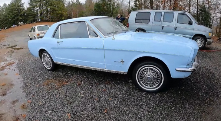 1966 ford mustang spent 21 years under a house, gets first wash and drive