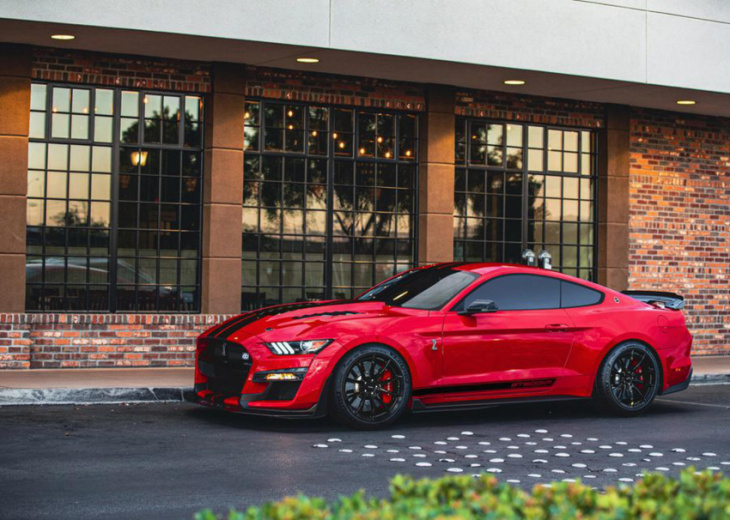 ford shelby gt500kr returns in royal glory with over 900 hp