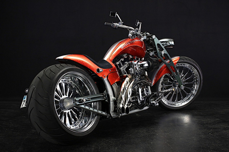 harley-davidson brave is a pointy breakout with a touch of glitter