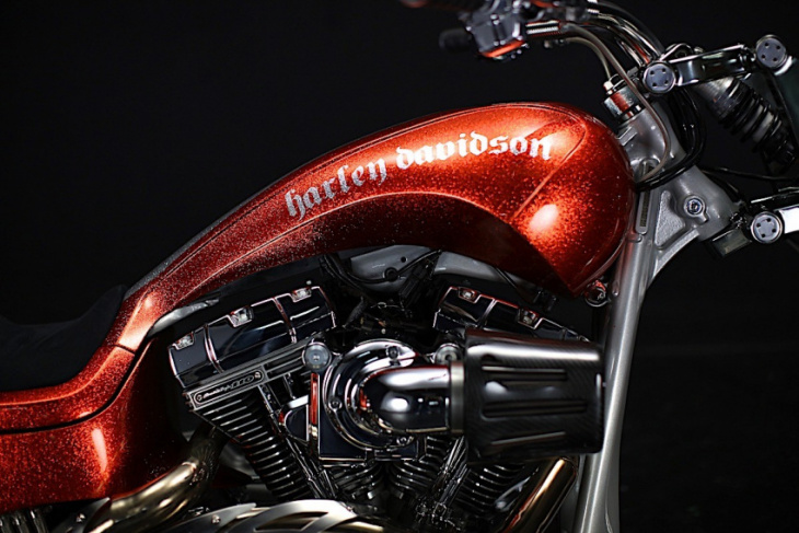 harley-davidson brave is a pointy breakout with a touch of glitter