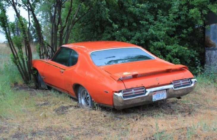 ’69 pontiac gto with a tree growing out of it gets a second chance