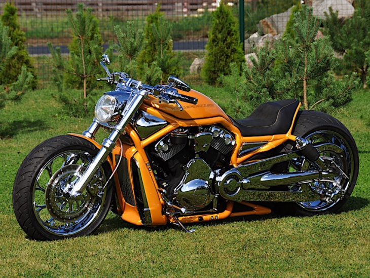 orange harley-davidson v-rod is no american project, still has the right vibes
