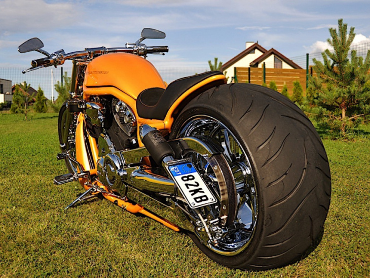 orange harley-davidson v-rod is no american project, still has the right vibes